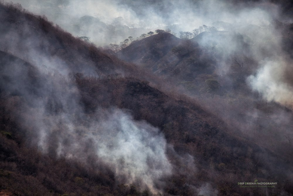 Fires in Guanacaste