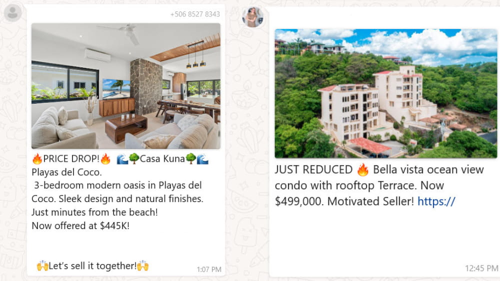 Buyer's market WhatsApp notifications of price reductions.