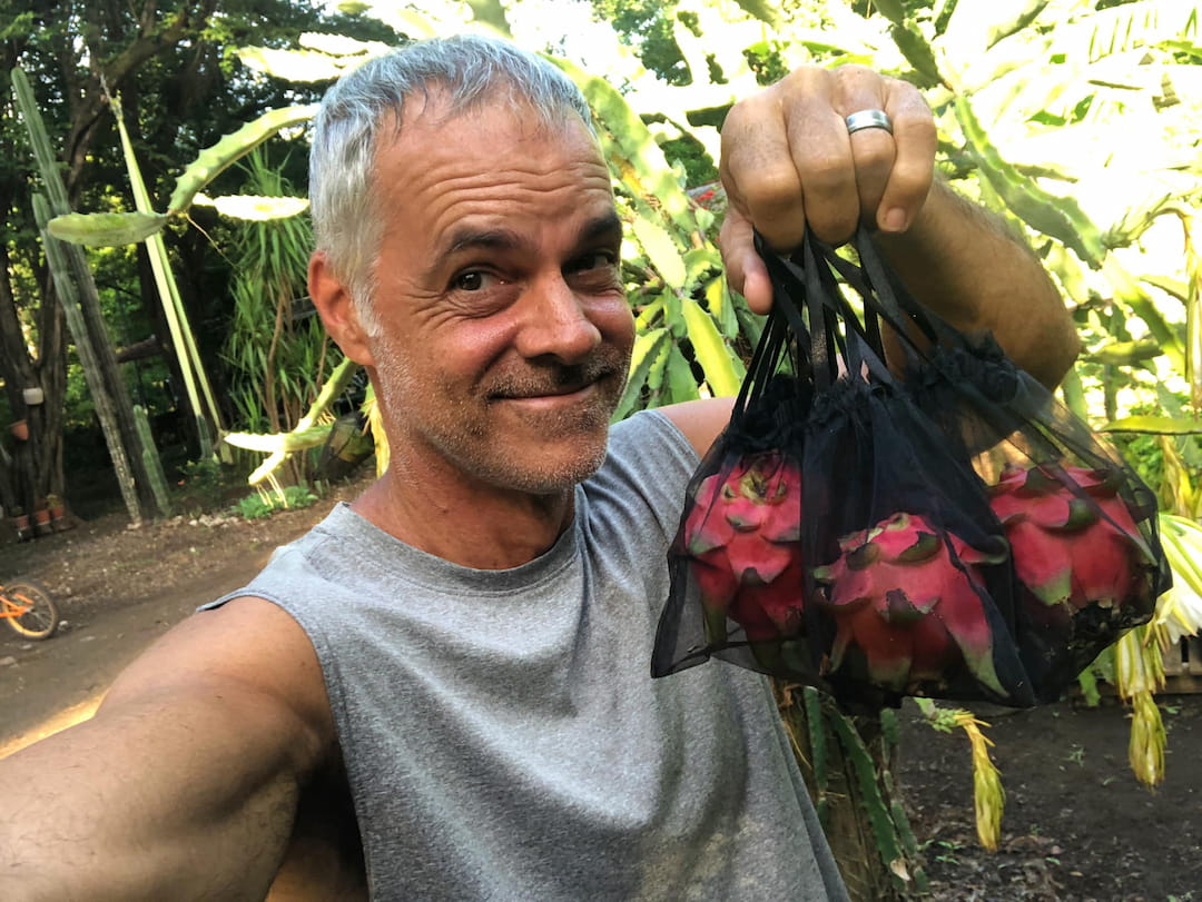 Organic farming in Guanacaste, Costa Rica